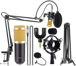 TECHTEST Professional BM-800 Condenser Microphone with Mic Stand for Studios, Recording Studios, Broadcasting Stations, Stage Performances and Computer